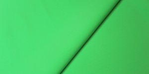 #333